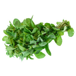 MENTHE BOTTE 100G